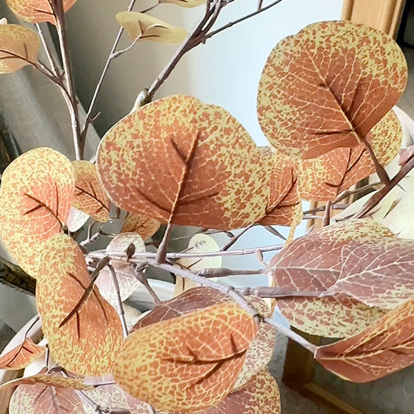 FALL-EUCALYPTUS-600x600-5